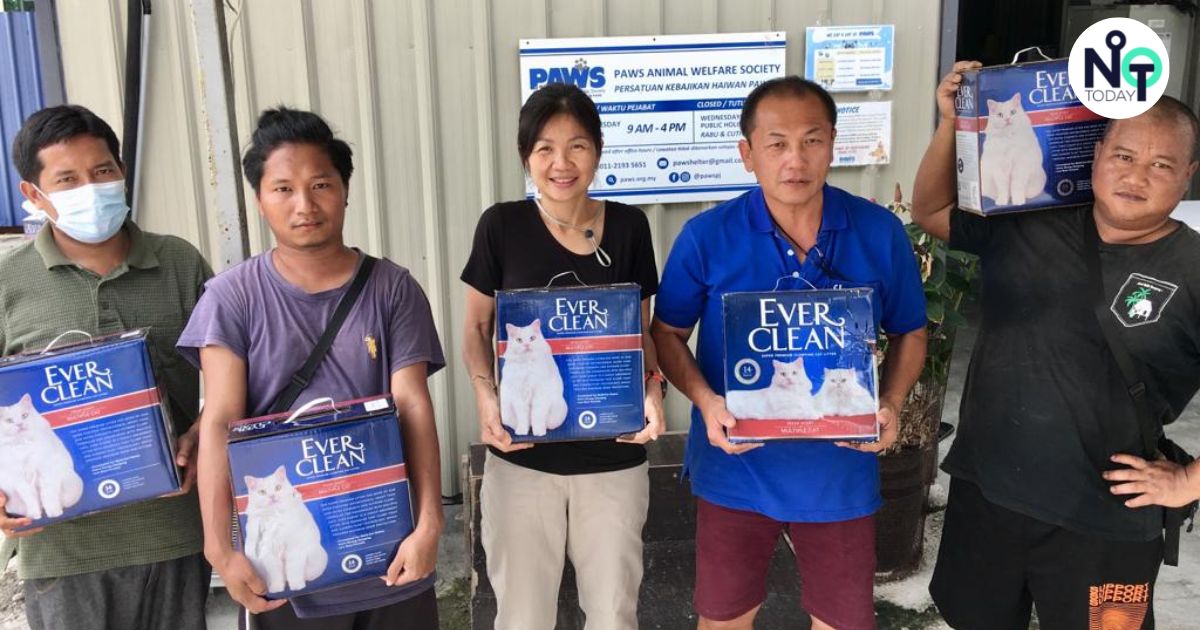 Ever Clean 捐赠3700 公斤猫砂， 帮助PAWS提升对获救猫咪的照料2